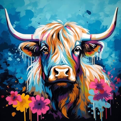 WANGXIAO Malen Nach Zahlen Erwachsene,DIY Ölgemälde Leinwand Kit mit Pinseln und Acrylfarbe für Home Haus Deko,40x40cm,Graffiti abstrakt bunt Hochlandkuh，,Mit Rahmen von WANGXIAO