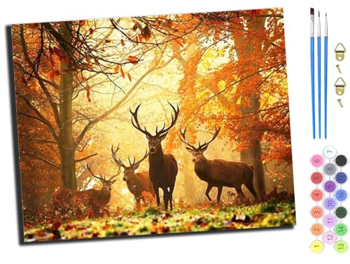 WANGXIAO Malen Nach Zahlen Erwachsene,DIY Ölgemälde Leinwand Kit mit Pinseln und Acrylfarbe für Home Haus Deko,50x40cm,Hirsche im Wald am Morgen,ohne Rahmen von WANGXIAO