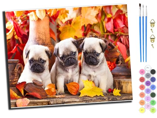 WANGXIAO Malen Nach Zahlen Erwachsene,DIY Ölgemälde Leinwand Kit mit Pinseln und Acrylfarbe für Home Haus Deko,50x40cm,Maple Leaf Bulldogs,mit Rahmen von WANGXIAO