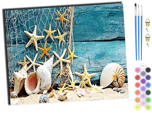 WANGXIAO Malen Nach Zahlen Erwachsene,DIY Ölgemälde Leinwand Kit mit Pinseln und Acrylfarbe für Home Haus Deko,50x40cm,Seestern Muschelschnecke,ohne Rahmen von WANGXIAO