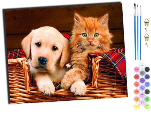WANGXIAO Malen Nach Zahlen Erwachsene,DIY Ölgemälde Leinwand Kit mit Pinseln und Acrylfarbe für Home Haus Deko,50x40cm,Tiere Hunde und Katzen lustig,mit Rahmen WANGXIAO Malen Nach Zahlen Erwachsene,DIY Ölgemälde Leinwand Kit mit Pinseln und Acrylfarbe für Home Haus Deko,50x40cm,Tiere Hunde und Katzen lustig,mit Rahmen von WANGXIAO