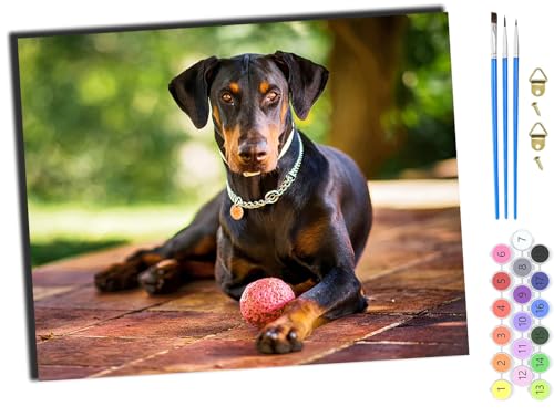WANGXIAO Malen Nach Zahlen Erwachsene,DIY Ölgemälde Leinwand Kit mit Pinseln und Acrylfarbe für Home Haus Deko,50x40cm,Tierischer schwarzer Hund,mit Rahmen von WANGXIAO
