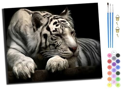 WANGXIAO Malen Nach Zahlen Erwachsene,DIY Ölgemälde Leinwand Kit mit Pinseln und Acrylfarbe für Home Haus Deko,50x40cm,Tierisches weißes Tigerplakat,mit Rahmen von WANGXIAO