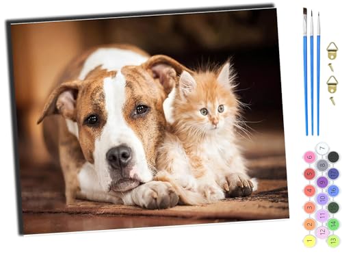 WANGXIAO Malen Nach Zahlen Erwachsene,DIY Ölgemälde Leinwand Kit mit Pinseln und Acrylfarbe für Home Haus Deko,50x40cm,einsam Tier Hund Katze,ohne Rahmen WANGXIAO Malen Nach Zahlen Erwachsene,DIY Ölgemälde Leinwand Kit mit Pinseln und Acrylfarbe für Home Haus Deko,50x40cm,einsam Tier Hund Katze,ohne Rahmen von WANGXIAO