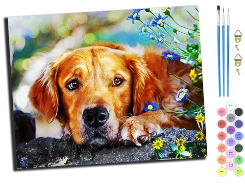WANGXIAO Malen Nach Zahlen Erwachsene,DIY Ölgemälde Leinwand Kit mit Pinseln und Acrylfarbe für Home Haus Deko,50x40cm,haustier golden retriever tier hund,ohne Rahmen WANGXIAO Malen Nach Zahlen Erwachsene,DIY Ölgemälde Leinwand Kit mit Pinseln und Acrylfarbe für Home Haus Deko,50x40cm,haustier golden retriever tier hund,ohne Rahmen von WANGXIAO