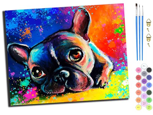 WANGXIAO Malen Nach Zahlen Erwachsene,DIY Ölgemälde Leinwand Set mit 3 Pinsel und Acrylpigment für Geburtstag Deko Geschenk,40x50 cm,Aquarell französische Bulldogge Haustier Tier Hund,ohne Rahmen von WANGXIAO