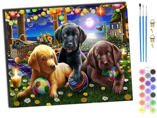 WANGXIAO Malen Nach Zahlen Erwachsene,DIY Ölgemälde Leinwand Set mit 3 Pinsel und Acrylpigment für Geburtstag Deko Geschenk,40x50 cm,Labrador Hund Tier,ohne Rahmen WANGXIAO Malen Nach Zahlen Erwachsene,DIY Ölgemälde Leinwand Set mit 3 Pinsel und Acrylpigment für Geburtstag Deko Geschenk,40x50 cm,Labrador Hund Tier,ohne Rahmen von WANGXIAO