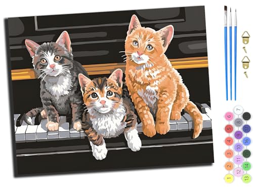 WANGXIAO Malen Nach Zahlen Erwachsene,DIY Ölgemälde Leinwand Set mit 3 Pinsel und Acrylpigment für Geburtstag Deko Geschenk,40x50 cm,Tier Katze Klavier,mit Rahmen von WANGXIAO