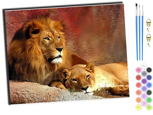 WANGXIAO Malen Nach Zahlen Erwachsene,DIY Ölgemälde Leinwand Set mit 3 Pinsel und Acrylpigment für Geburtstag Deko Geschenk,40x50 cm,Tier Löwe,mit Rahmen von WANGXIAO