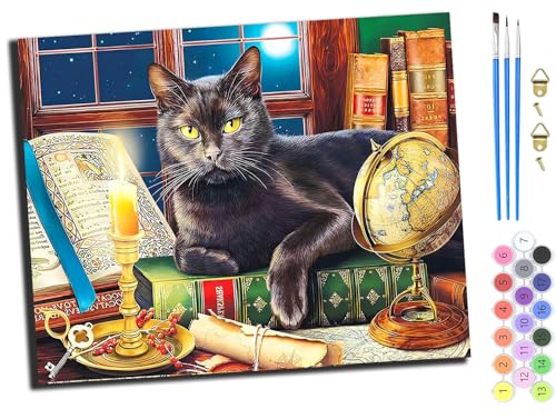 WANGXIAO Malen Nach Zahlen Erwachsene,DIY Ölgemälde Leinwand Set mit 3 Pinsel und Acrylpigment für Geburtstag Deko Geschenk,40x50 cm,Tiere Katze Süß Schwarz,mit Rahmen WANGXIAO Malen Nach Zahlen Erwachsene,DIY Ölgemälde Leinwand Set mit 3 Pinsel und Acrylpigment für Geburtstag Deko Geschenk,40x50 cm,Tiere Katze Süß Schwarz,mit Rahmen von WANGXIAO