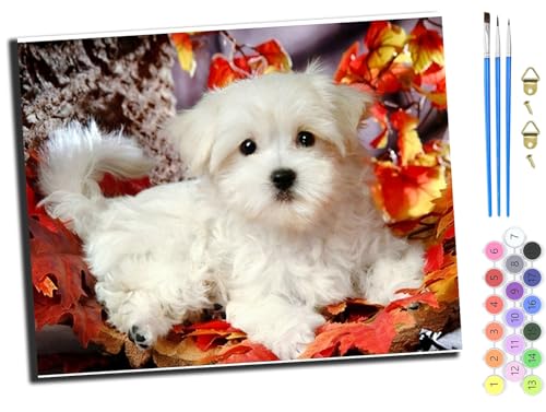 WANGXIAO Malen Nach Zahlen Erwachsene,DIY mit Pinseln und Acrylfarben Handgemalt Ölgemälde Leinwand für Home Decor,(40x50cm),Ahornblatt und Hund,mit Rahmen von WANGXIAO