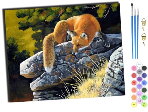 WANGXIAO Malen Nach Zahlen Erwachsene,DIY mit Pinseln und Acrylfarben Handgemalt Ölgemälde Leinwand für Home Decor,(40x50cm),Fuchs Tier,ohne Rahmen von WANGXIAO