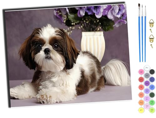 WANGXIAO Malen Nach Zahlen Erwachsene,DIY mit Pinseln und Acrylfarben Handgemalt Ölgemälde Leinwand für Home Decor,(40x50cm),Tier Hund,mit Rahmen von WANGXIAO