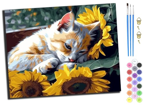 WANGXIAO Malen Nach Zahlen Erwachsene,DIY mit Pinseln und Acrylfarben Handgemalt Ölgemälde Leinwand für Home Decor,(40x50cm),Tier Katze Sonnenblume,mit Rahmen von WANGXIAO