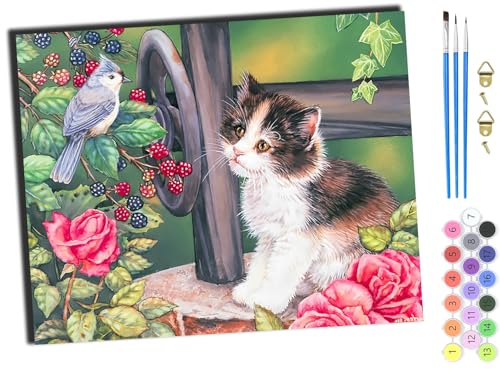 WANGXIAO Malen Nach Zahlen Erwachsene,DIY mit Pinseln und Acrylfarben Handgemalt Ölgemälde Leinwand für Home Decor,(40x50cm),Tier Katze Vogel,mit Rahmen von WANGXIAO