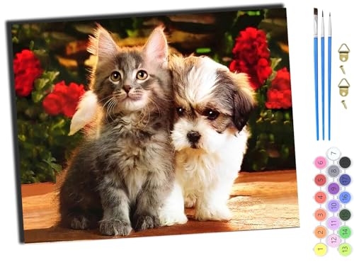 WANGXIAO Malen Nach Zahlen Erwachsene,DIY mit Pinseln und Acrylfarben Handgemalt Ölgemälde Leinwand für Home Decor,(40x50cm),Tiere kleiner weißer Hund und kleine graue Katze,mit Rahmen von WANGXIAO