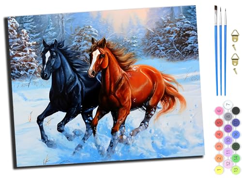 WANGXIAO Malen Nach Zahlen Erwachsene,DIY mit Pinseln und Acrylfarben Handgemalt Ölgemälde Leinwand für Home Decor,(40x50cm),Tiere laufen im Schnee,mit Rahmen von WANGXIAO