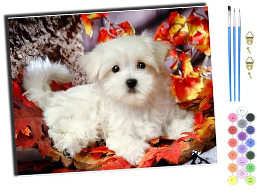 WANGXIAO Malen Nach Zahlen Erwachsene,DIY mit Pinseln und Acrylfarben Handgemalt Ölgemälde Leinwand für Home Decor,(40x50cm),weißTierHundBlätter,ohne Rahmen von WANGXIAO