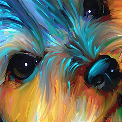 WANGXIAO Malen Nach Zahlen Erwachsene,Mädchen und Junge,Farbiges Leinwand Acrylfarben DIY Ölgemälde Set zur Heimdekoration,40x40cm,Farbe Tier Hund,,Mit Rahmen WANGXIAO Malen Nach Zahlen Erwachsene,Mädchen und Junge,Farbiges Leinwand Acrylfarben DIY Ölgemälde Set zur Heimdekoration,40x40cm,Farbe Tier Hund,,Mit Rahmen von WANGXIAO