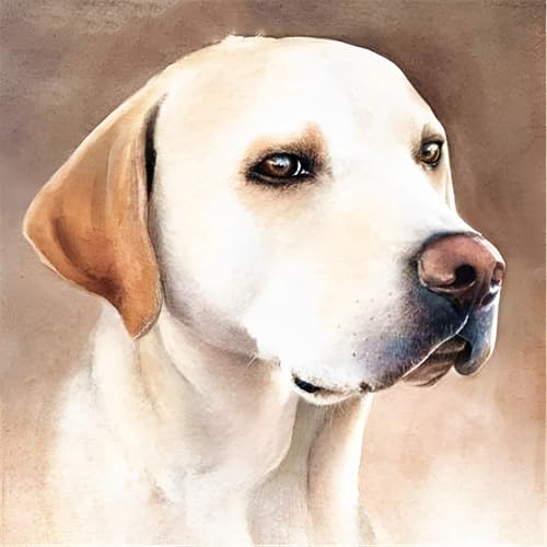 WANGXIAO Malen Nach Zahlen Erwachsene,Mädchen und Junge,Farbiges Leinwand Acrylfarben DIY Ölgemälde Set zur Heimdekoration,40x40cm,weiß tier hund einsam,,Mit Rahmen WANGXIAO Malen Nach Zahlen Erwachsene,Mädchen und Junge,Farbiges Leinwand Acrylfarben DIY Ölgemälde Set zur Heimdekoration,40x40cm,weiß tier hund einsam,,Mit Rahmen von WANGXIAO