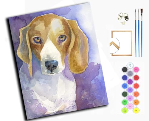 WANGXIAO Malen Nach Zahlen Erwachsene,Mädchen und Junge,Farbiges Leinwand Acrylfarben DIY Ölgemälde Set zur Heimdekoration,40x50cm,Beagle-Hund, Tierhund,mit Rahmen von WANGXIAO