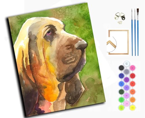 WANGXIAO Malen Nach Zahlen Erwachsene,Mädchen und Junge,Farbiges Leinwand Acrylfarben DIY Ölgemälde Set zur Heimdekoration,40x50cm,Bluthund, Tierhund,mit Rahmen von WANGXIAO