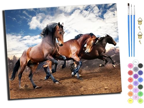 WANGXIAO Malen Nach Zahlen Erwachsene,Mädchen und Junge,Farbiges Leinwand Acrylfarben DIY Ölgemälde Set zur Heimdekoration,40x50cm,Laufendes Tier Pferd,ohne Rahmen WANGXIAO Malen Nach Zahlen Erwachsene,Mädchen und Junge,Farbiges Leinwand Acrylfarben DIY Ölgemälde Set zur Heimdekoration,40x50cm,Laufendes Tier Pferd,ohne Rahmen von WANGXIAO