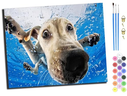 WANGXIAO Malen Nach Zahlen Erwachsene,Mädchen und Junge,Farbiges Leinwand Acrylfarben DIY Ölgemälde Set zur Heimdekoration,40x50cm,weiß tier hund wasser interessant,ohne Rahmen von WANGXIAO