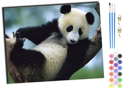 WANGXIAO Malen Nach Zahlen Erwachsene,Paint by Numbers,DIY Handgemalt Ölgemälde Mit 3,Pinseln und Acrylfarbe leinwand Kit,40x50 cm,Einsamer Panda,ohne Rahmen von WANGXIAO