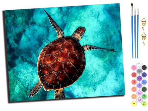 WANGXIAO Malen Nach Zahlen Erwachsene,Paint by Numbers,DIY Handgemalt Ölgemälde Mit 3,Pinseln und Acrylfarbe leinwand Kit,40x50 cm,Ozean Strand Schildkröte Fisch,mit Rahmen WANGXIAO Malen Nach Zahlen Erwachsene,Paint by Numbers,DIY Handgemalt Ölgemälde Mit 3,Pinseln und Acrylfarbe leinwand Kit,40x50 cm,Ozean Strand Schildkröte Fisch,mit Rahmen von WANGXIAO