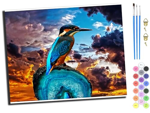 WANGXIAO Malen Nach Zahlen Erwachsene,Paint by Numbers,DIY Handgemalt Ölgemälde Mit 3,Pinseln und Acrylfarbe leinwand Kit,40x50 cm,sonnenuntergang wolken himmel kolibri tiere,mit Rahmen WANGXIAO Malen Nach Zahlen Erwachsene,Paint by Numbers,DIY Handgemalt Ölgemälde Mit 3,Pinseln und Acrylfarbe leinwand Kit,40x50 cm,sonnenuntergang wolken himmel kolibri tiere,mit Rahmen von WANGXIAO
