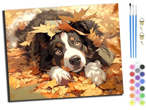 WANGXIAO Malen Nach Zahlen Erwachsene,inklusive Pinsel und Acrylfarben,40x50cm,DIY Handgemalt Ölgemälde Kit,Ahornblatt süßer Hund Border Collie,mit Rahmen WANGXIAO Malen Nach Zahlen Erwachsene,inklusive Pinsel und Acrylfarben,40x50cm,DIY Handgemalt Ölgemälde Kit,Ahornblatt süßer Hund Border Collie,mit Rahmen von WANGXIAO