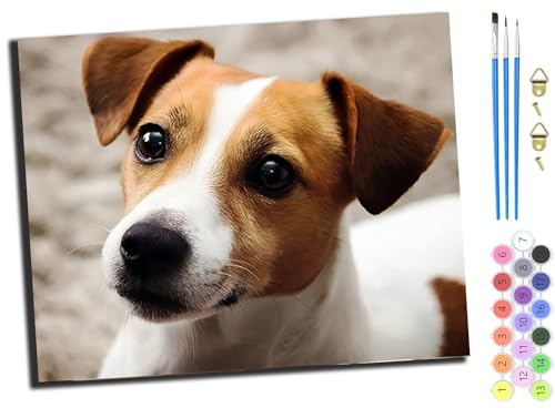 WANGXIAO Malen Nach Zahlen Erwachsene 40x50cm,mit Pinsels und Acrylfarbe kit,DIY Handgemalt Ölgemälde für Geschenke und Wandbilder Wohnzimmer,Jack Russell Terrier,mit Rahmen WANGXIAO Malen Nach Zahlen Erwachsene 40x50cm,mit Pinsels und Acrylfarbe kit,DIY Handgemalt Ölgemälde für Geschenke und Wandbilder Wohnzimmer,Jack Russell Terrier,mit Rahmen von WANGXIAO