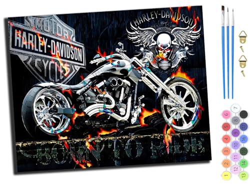 WANGXIAO Malen Nach Zahlen Erwachsene 40x50cm,mit Pinsels und Acrylfarbe kit,DIY Handgemalt Ölgemälde für Geschenke und Wandbilder Wohnzimmer,Motorrad Auto Schädel,ohne Rahmen WANGXIAO Malen Nach Zahlen Erwachsene 40x50cm,mit Pinsels und Acrylfarbe kit,DIY Handgemalt Ölgemälde für Geschenke und Wandbilder Wohnzimmer,Motorrad Auto Schädel,ohne Rahmen von WANGXIAO