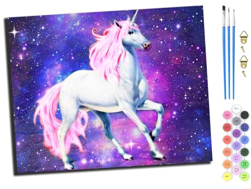 WANGXIAO Malen Nach Zahlen Erwachsene 40x50cm,mit Pinsels und Acrylfarbe kit,DIY Handgemalt Ölgemälde für Geschenke und Wandbilder Wohnzimmer,Rosa Märchen Sternenhimmel Pferd,mit Rahmen von WANGXIAO