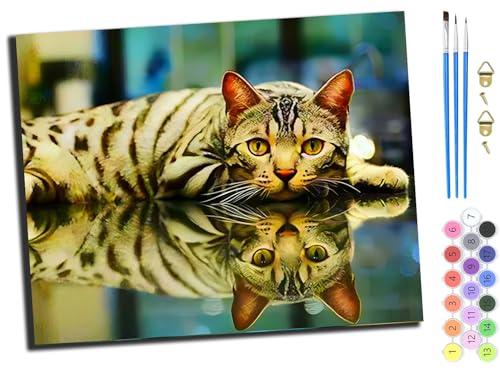 WANGXIAO Malen Nach Zahlen Erwachsene 40x50cm,mit Pinsels und Acrylfarbe kit,DIY Handgemalt Ölgemälde für Geschenke und Wandbilder Wohnzimmer,Tier Boden Spiegelung Katze,mit Rahmen von WANGXIAO