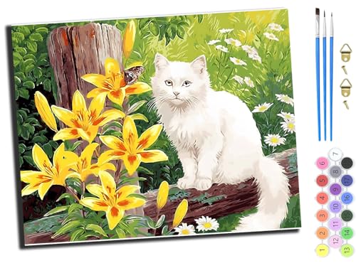 WANGXIAO Malen Nach Zahlen Erwachsene 40x50cm,mit Pinsels und Acrylfarbe kit,DIY Handgemalt Ölgemälde für Geschenke und Wandbilder Wohnzimmer,Tier Katze lustig,mit Rahmen von WANGXIAO