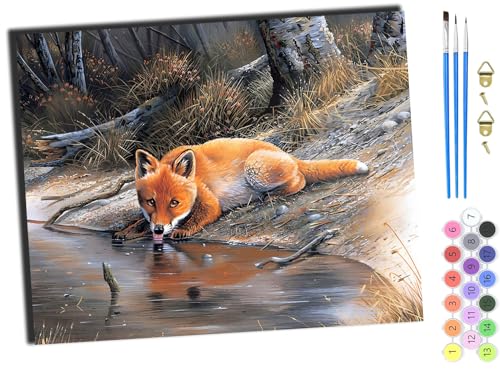 WANGXIAO Malen Nach Zahlen Erwachsene 40x50cm,mit Pinsels und Acrylfarbe kit,DIY Handgemalt Ölgemälde für Geschenke und Wandbilder Wohnzimmer,Tierfuchs,mit Rahmen von WANGXIAO