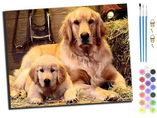 WANGXIAO Malen Nach Zahlen Erwachsene Kinder,Mädchen und Junge,Farbiges Leinwand Acrylfarben DIY Ölgemälde Set zur Heimdekoration,40x50cm,Niedliche zwei Hunde Tiere,mit Rahmen WANGXIAO Malen Nach Zahlen Erwachsene Kinder,Mädchen und Junge,Farbiges Leinwand Acrylfarben DIY Ölgemälde Set zur Heimdekoration,40x50cm,Niedliche zwei Hunde Tiere,mit Rahmen von WANGXIAO