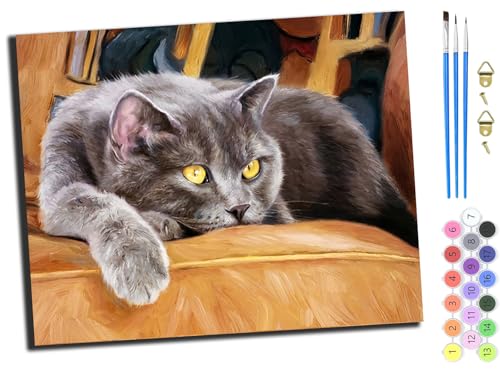 WANGXIAO Malen Nach Zahlen Erwachsene Kinder,Mädchen und Junge,Farbiges Leinwand Acrylfarben DIY Ölgemälde Set zur Heimdekoration,40x50cm,Stuhl Blau Katze Tier,mit Rahmen WANGXIAO Malen Nach Zahlen Erwachsene Kinder,Mädchen und Junge,Farbiges Leinwand Acrylfarben DIY Ölgemälde Set zur Heimdekoration,40x50cm,Stuhl Blau Katze Tier,mit Rahmen von WANGXIAO