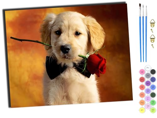 WANGXIAO Malen Nach Zahlen Erwachsene Kinder,Mädchen und Junge,Farbiges Leinwand Acrylfarben DIY Ölgemälde Set zur Heimdekoration,40x50cm,Tierhund und Rosen,mit Rahmen von WANGXIAO