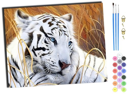 WANGXIAO Malen Nach Zahlen Erwachsene Kinder,Mädchen und Junge,Farbiges Leinwand Acrylfarben DIY Ölgemälde Set zur Heimdekoration,40x50cm,Tierischer weißer Tiger,mit Rahmen WANGXIAO Malen Nach Zahlen Erwachsene Kinder,Mädchen und Junge,Farbiges Leinwand Acrylfarben DIY Ölgemälde Set zur Heimdekoration,40x50cm,Tierischer weißer Tiger,mit Rahmen von WANGXIAO