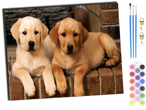 WANGXIAO Malen Nach Zahlen Erwachsene Kinder,Mädchen und Junge,Farbiges Leinwand Acrylfarben DIY Ölgemälde Set zur Heimdekoration,40x50cm,Tierisches Hundepaar,mit Rahmen WANGXIAO Malen Nach Zahlen Erwachsene Kinder,Mädchen und Junge,Farbiges Leinwand Acrylfarben DIY Ölgemälde Set zur Heimdekoration,40x50cm,Tierisches Hundepaar,mit Rahmen von WANGXIAO