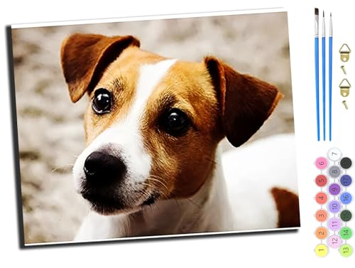 WANGXIAO Malen nach Zahlen Erwachsene,40x50cm,Be creative Heimdekoration Anfänger Mit Pinsel und Acrylfarben ölgemälde für Home Decor,Jack Russell Terrier,mit Rahmen WANGXIAO Malen nach Zahlen Erwachsene,40x50cm,Be creative Heimdekoration Anfänger Mit Pinsel und Acrylfarben ölgemälde für Home Decor,Jack Russell Terrier,mit Rahmen von WANGXIAO