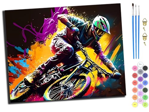 WANGXIAO Malen nach Zahlen Erwachsene,40x50cm,Be creative Heimdekoration Anfänger Mit Pinsel und Acrylfarben ölgemälde für Home Decor,Mountainbike-Rennen,ohne Rahmen WANGXIAO Malen nach Zahlen Erwachsene,40x50cm,Be creative Heimdekoration Anfänger Mit Pinsel und Acrylfarben ölgemälde für Home Decor,Mountainbike-Rennen,ohne Rahmen von WANGXIAO