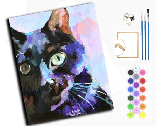 WANGXIAO Malen nach Zahlen Erwachsene,40x50cm,Be creative Heimdekoration Anfänger Mit Pinsel und Acrylfarben ölgemälde für Home Decor,Schwarze Katze, Tier,mit Rahmen von WANGXIAO