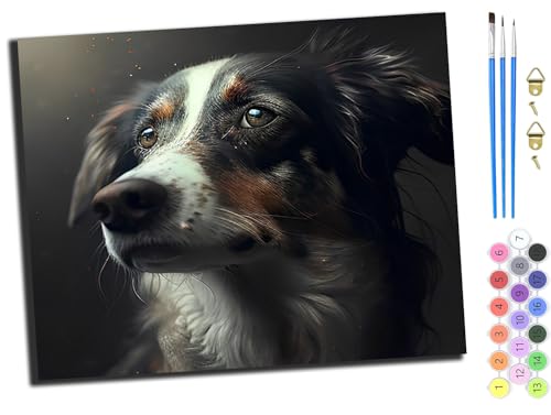 WANGXIAO Malen nach Zahlen Erwachsene,40x50cm,Be creative Heimdekoration Anfänger Mit Pinsel und Acrylfarben ölgemälde für Home Decor,Tier Hund Schäferhund,mit Rahmen von WANGXIAO