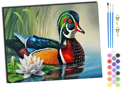 WANGXIAO Malen nach Zahlen Erwachsene,40x50cm,Be creative Heimdekoration Anfänger Mit Pinsel und Acrylfarben ölgemälde für Home Decor,Tierische schwimmende Ente,mit Rahmen WANGXIAO Malen nach Zahlen Erwachsene,40x50cm,Be creative Heimdekoration Anfänger Mit Pinsel und Acrylfarben ölgemälde für Home Decor,Tierische schwimmende Ente,mit Rahmen von WANGXIAO