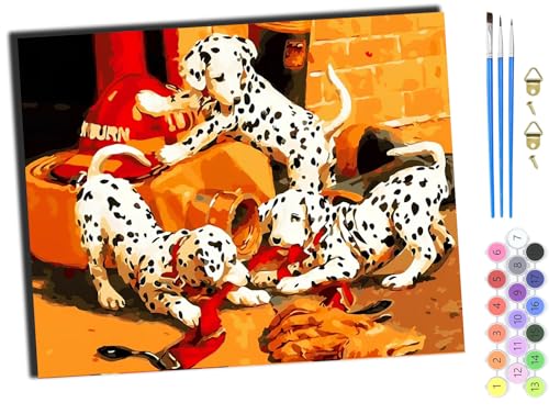 WANGXIAO Malen nach Zahlen Erwachsene,40x50cm,Be creative Heimdekoration Anfänger Mit Pinsel und Acrylfarben ölgemälde für Home Decor,Weiß geflecktes Hundetier,ohne Rahmen von WANGXIAO