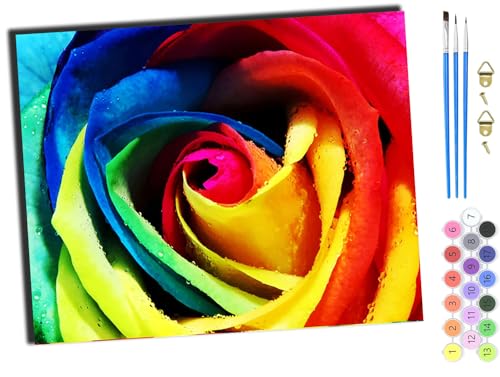 WANGXIAO Malen nach Zahlen Erwachsene,DIY Bastelset Handgemalt Ölgemälde Geschen Kit Mit 3,Pinseln und Acrylfarbe knitterfreie leinwand Kit,40x50 cm,Bunte Rosen Blumen,ohne Rahmen WANGXIAO Malen nach Zahlen Erwachsene,DIY Bastelset Handgemalt Ölgemälde Geschen Kit Mit 3,Pinseln und Acrylfarbe knitterfreie leinwand Kit,40x50 cm,Bunte Rosen Blumen,ohne Rahmen von WANGXIAO